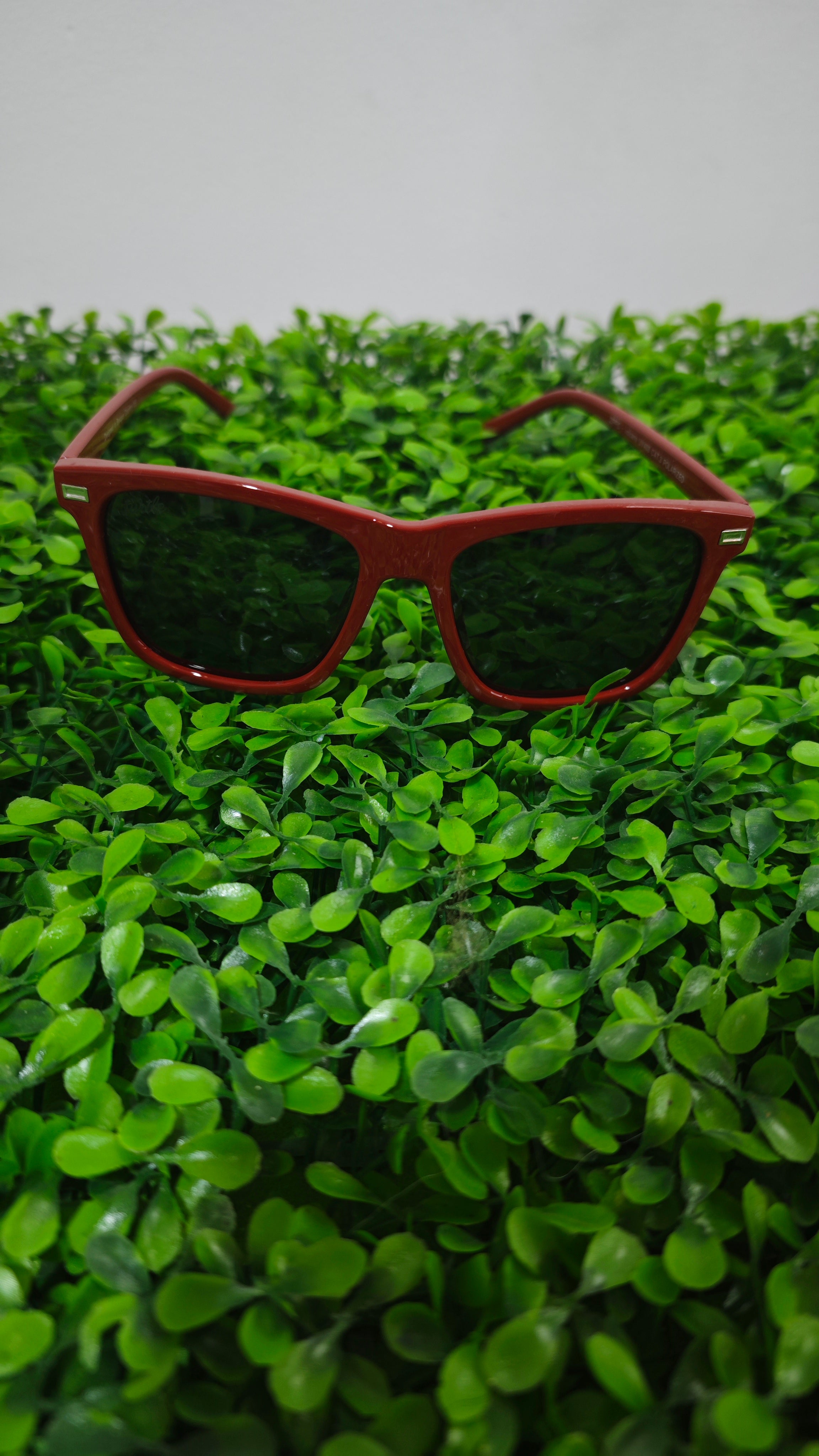 Gafas Wild Burgundy