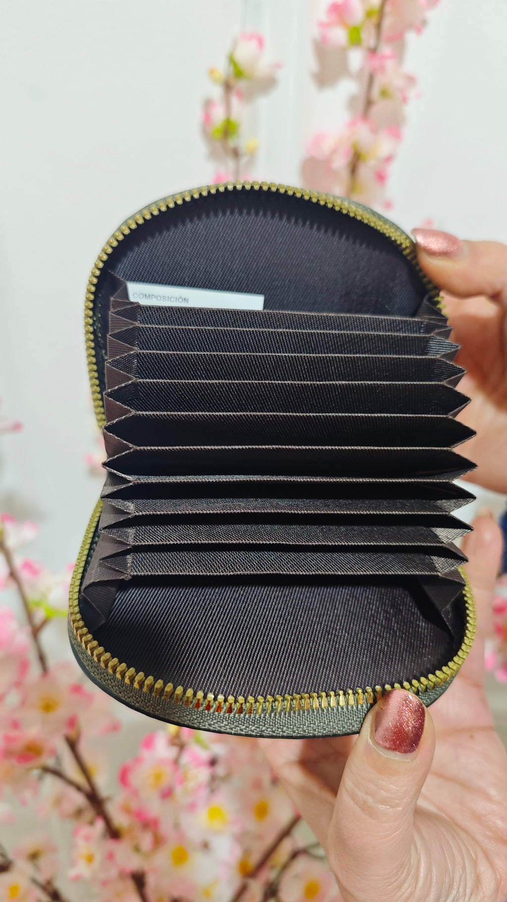 Pack conjunto cartera billetes