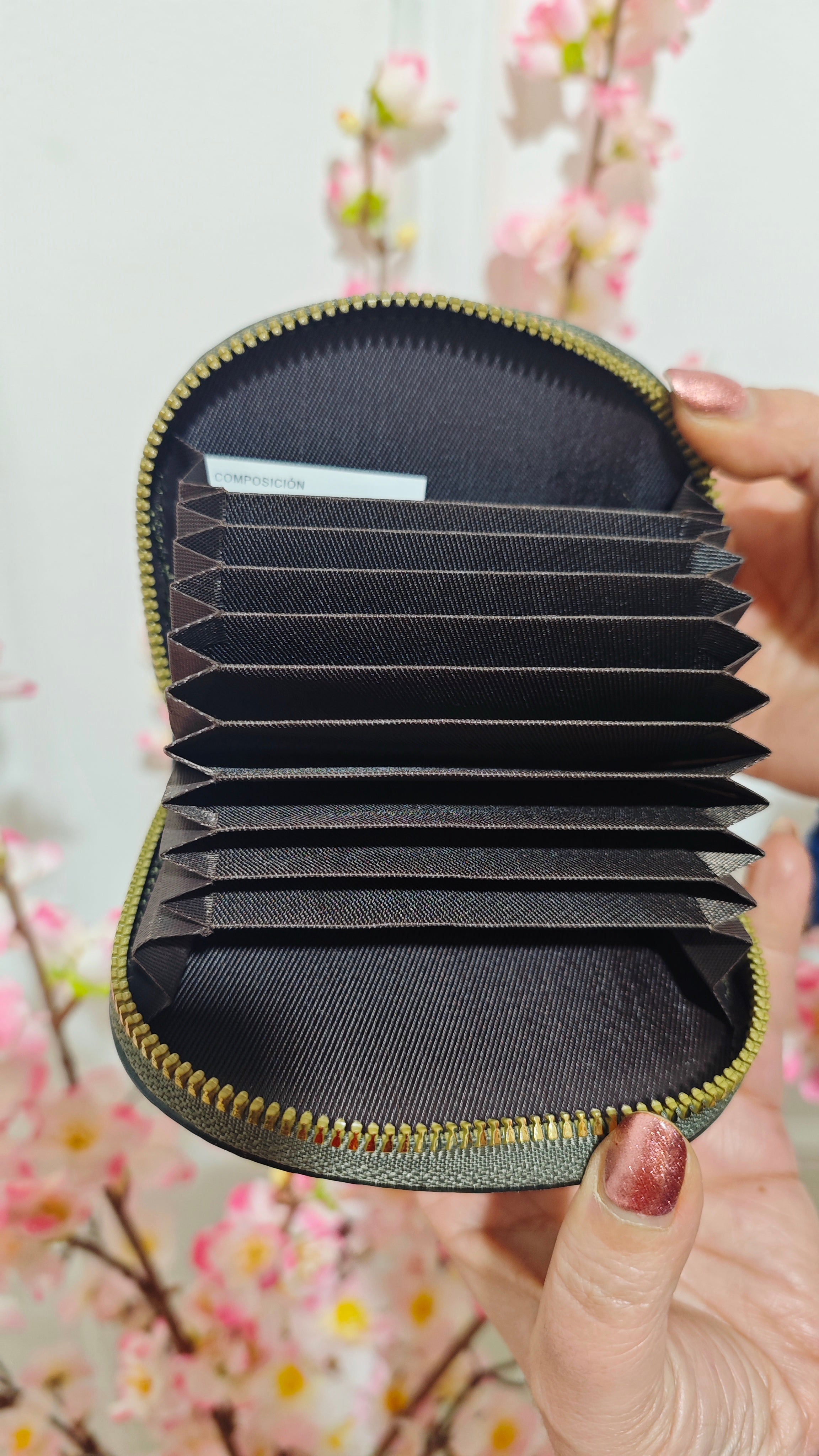 Pack conjunto cartera billetes